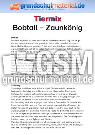 Bobtail Zaunkönig.pdf